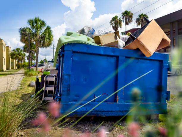 Best Basement Cleanout Services  in Montrose, VA